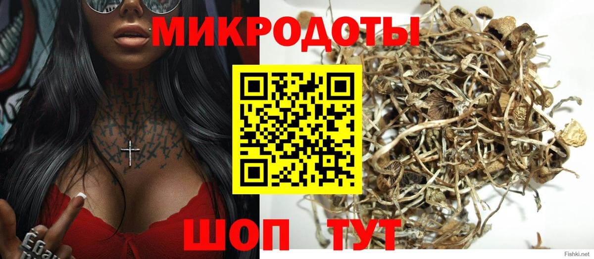 Псилоцибиновые грибы Cubensis Узловая